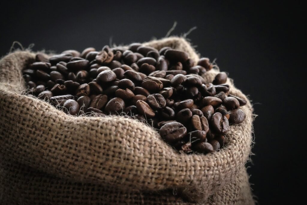 Cerises de café mûres sur la branche