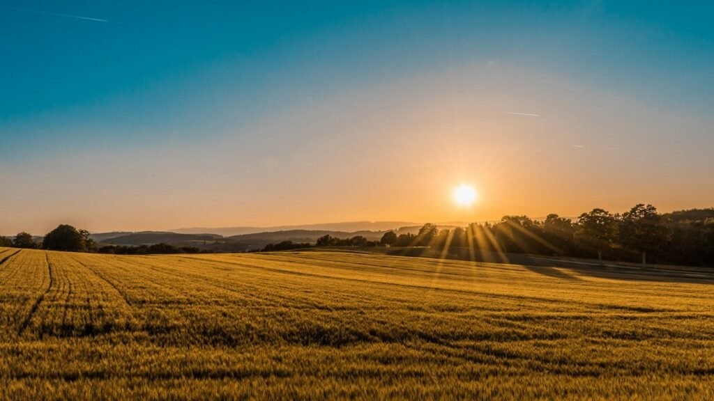 Champs agricoles verdoyants au pied des montagnes