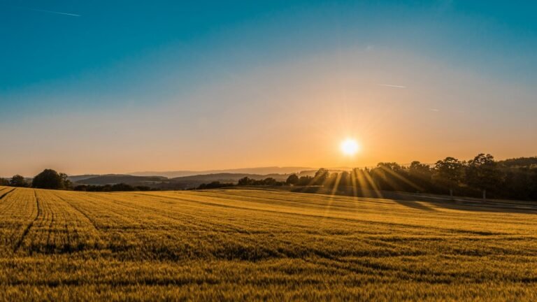 Champs agricoles verdoyants au pied des montagnes