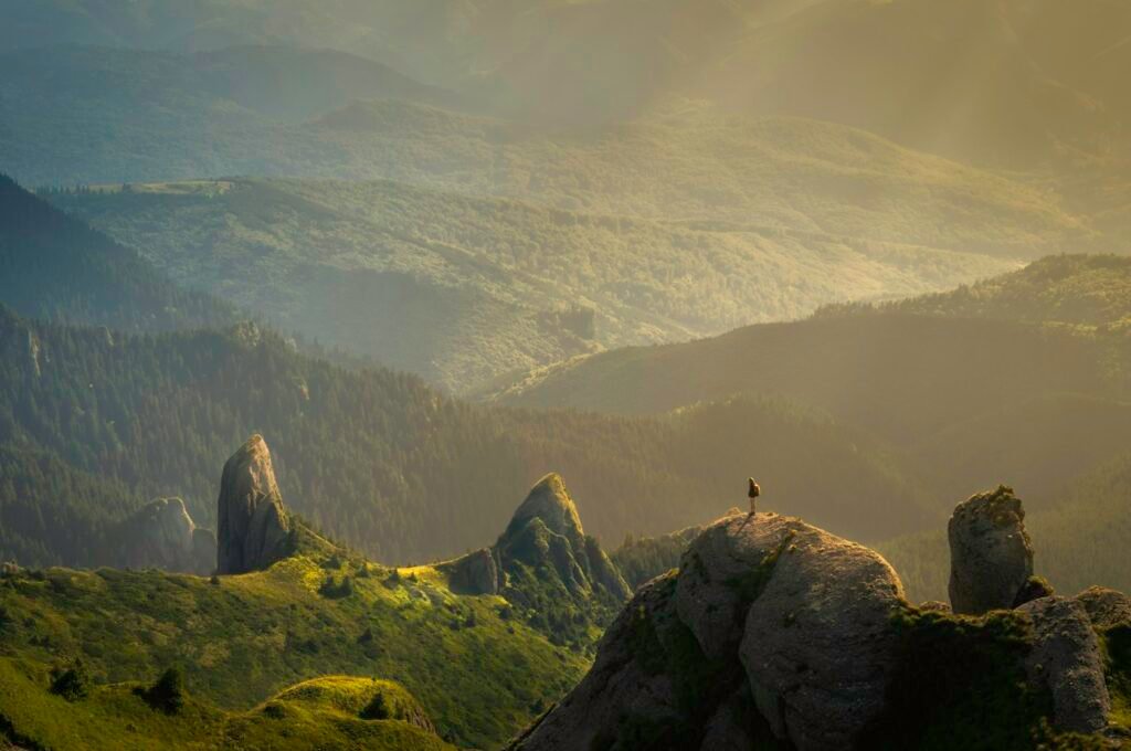 Paysage de collines verdoyantes