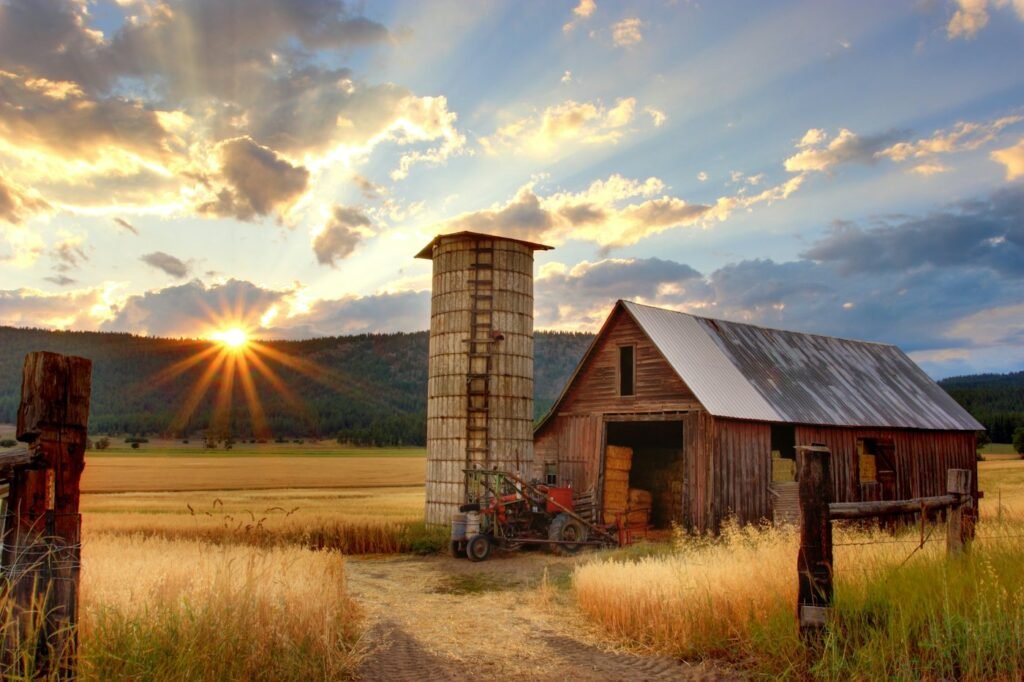 Bâtiments ruraux au coucher du soleil